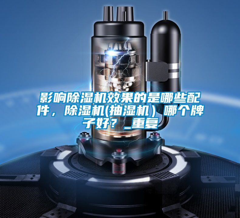 影响除湿机效果的是哪些配件，除湿机(抽湿机）哪个牌子好？_重复