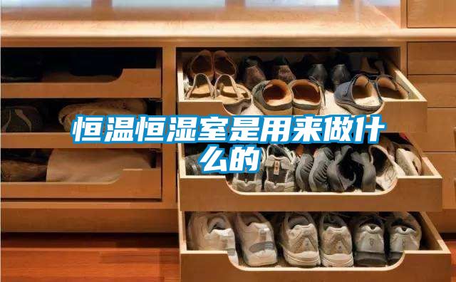 恒温恒湿室是用来做什么的