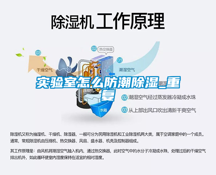 实验室怎么防潮除湿_重复