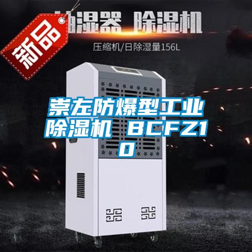 崇左防爆型工业除湿机 BCFZ10