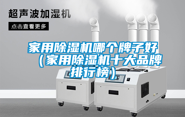 家用除湿机哪个牌子好（家用除湿机十大品牌排行榜）