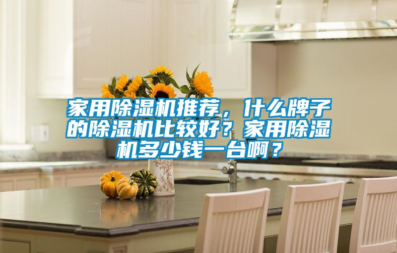 家用除湿机推荐，什么牌子的除湿机比较好？家用除湿机多少钱一台啊？