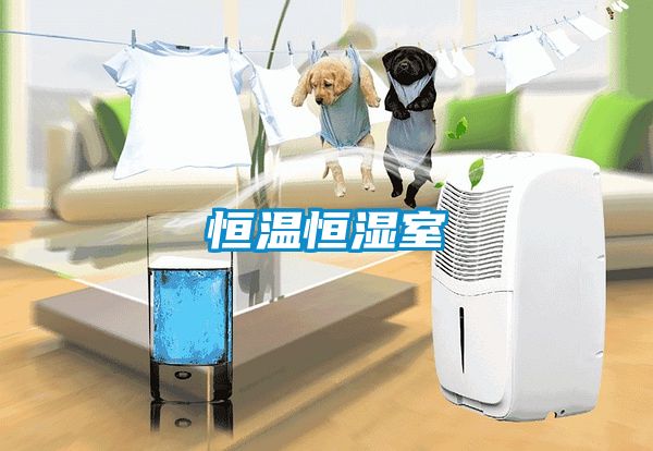 恒温恒湿室