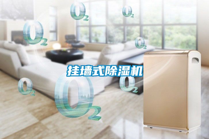 挂墙式除湿机