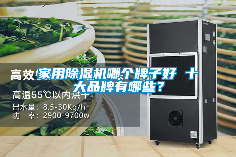 家用除湿机哪个牌子好 十大品牌有哪些?