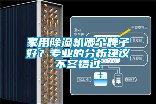 家用除湿机哪个牌子好?专业的分析建议不容错过