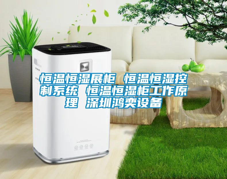 恒温恒湿展柜 恒温恒湿控制系统 恒温恒湿柜工作原理 深圳鸿奕设备