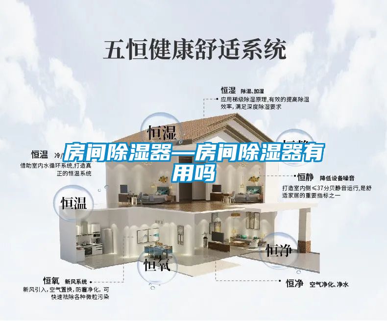房间除湿器—房间除湿器有用吗
