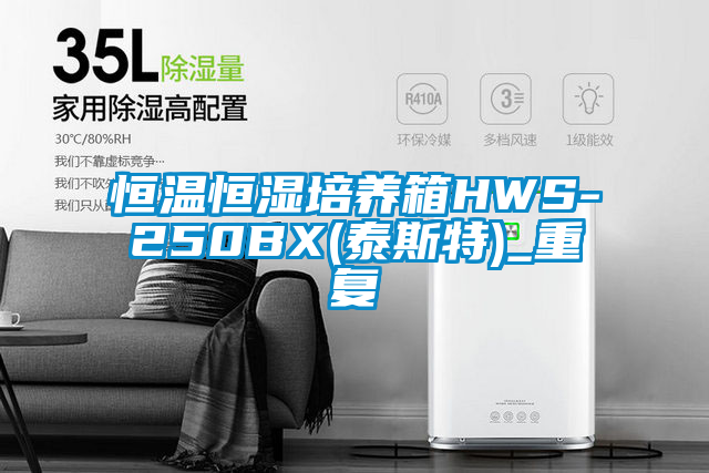 恒温恒湿培养箱HWS-250BX(泰斯特)_重复