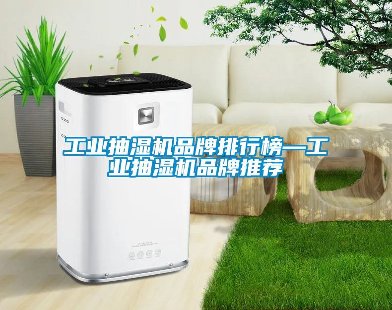 工业抽湿机品牌排行榜—工业抽湿机品牌推荐