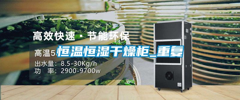 恒温恒湿干燥柜_重复