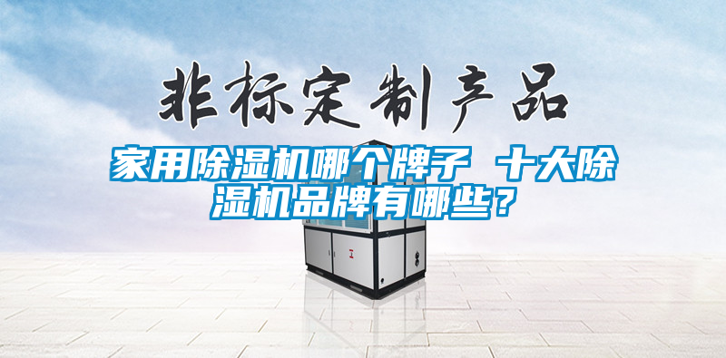 家用除湿机哪个牌子 十大除湿机品牌有哪些？