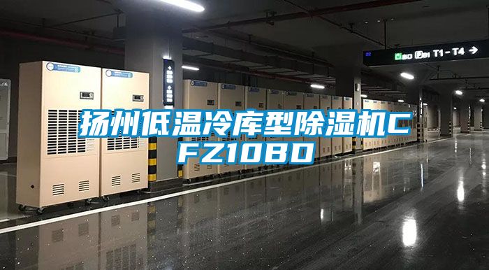 扬州低温冷库型除湿机CFZ10BD