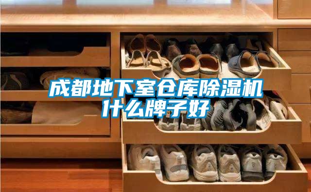 成都地下室仓库除湿机什么牌子好