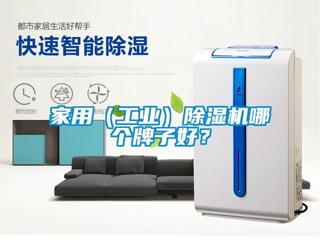 家用（工业）除湿机哪个牌子好？