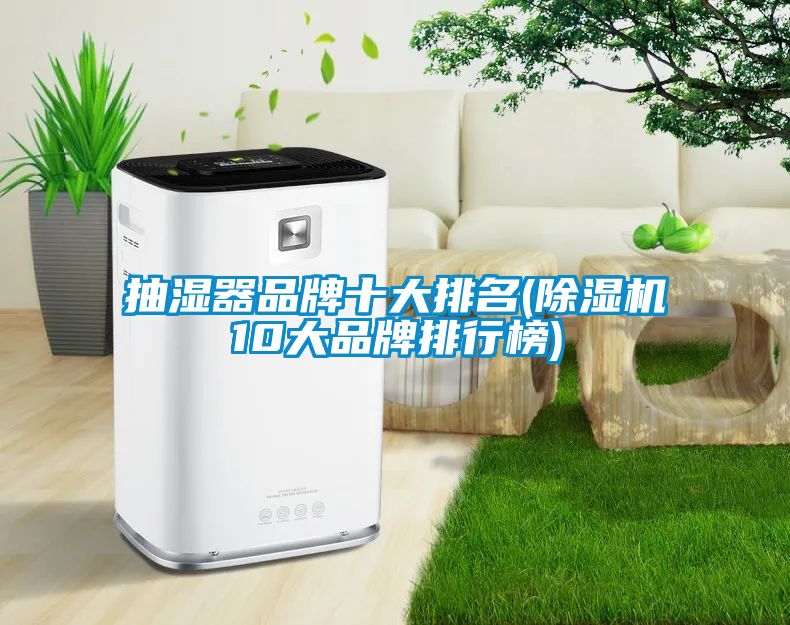 抽湿器品牌十大排名(除湿机10大品牌排行榜)