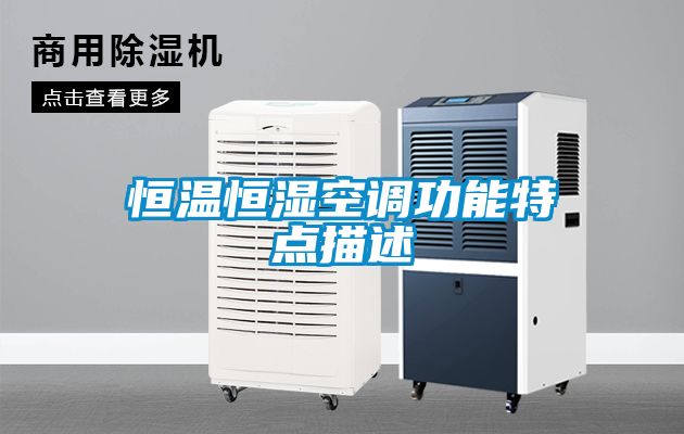 恒温恒湿空调功能特点描述