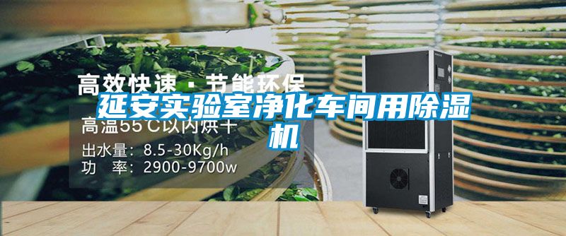 延安实验室净化车间用除湿机