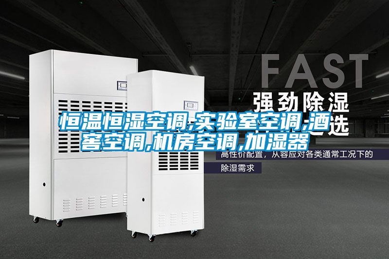 恒温恒湿空调,实验室空调,酒窖空调,机房空调,加湿器
