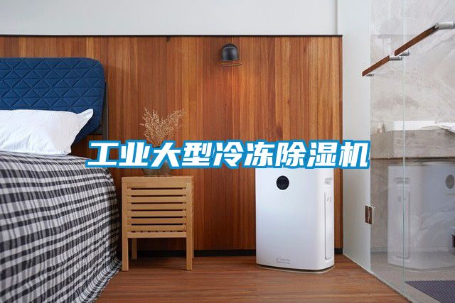 工业大型冷冻除湿机