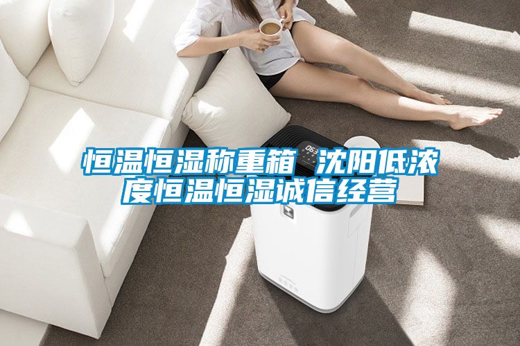 恒温恒湿称重箱 沈阳低浓度恒温恒湿诚信经营