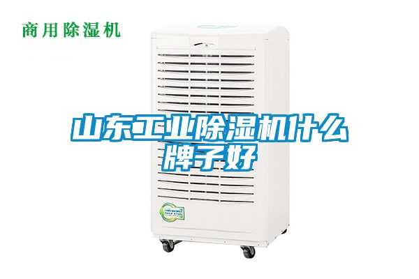 山东工业除湿机什么牌子好
