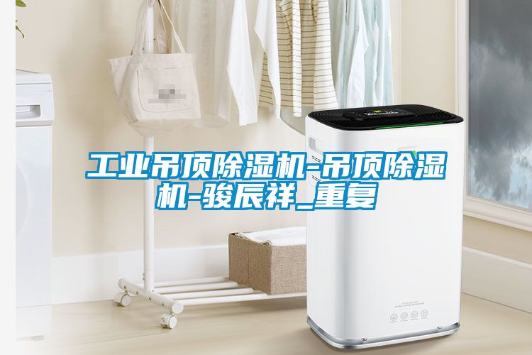 工业吊顶除湿机-吊顶除湿机-骏辰祥_重复