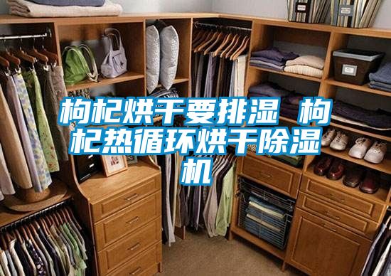 枸杞烘干要排湿 枸杞热循环烘干除湿机