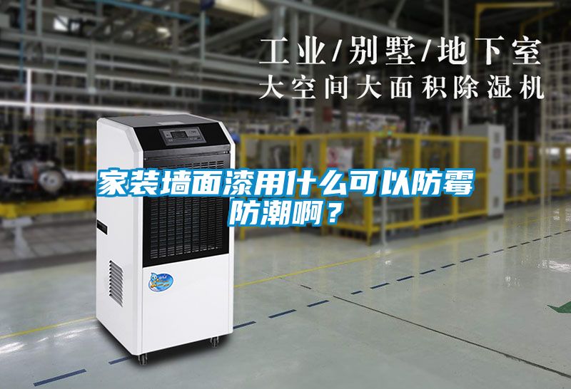 家装墙面漆用什么可以防霉防潮啊？