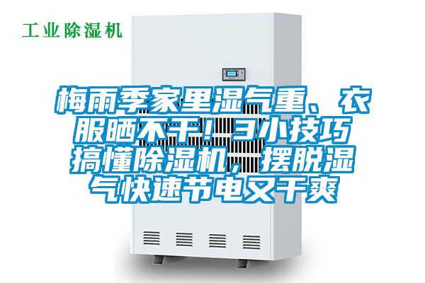 梅雨季家里湿气重、衣服晒不干！3小技巧搞懂除湿机，摆脱湿气快速节电又干爽