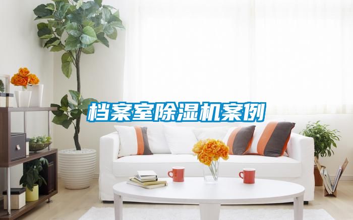 档案室除湿机案例