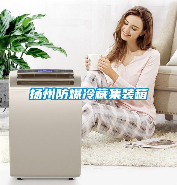 扬州防爆冷藏集装箱