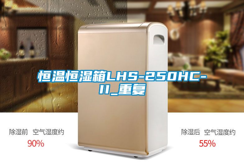 恒温恒湿箱LHS-250HC-II_重复