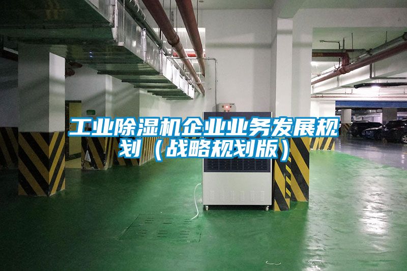 工业除湿机企业业务发展规划（战略规划版）