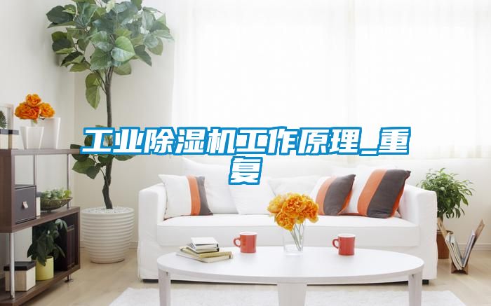 工业除湿机工作原理_重复