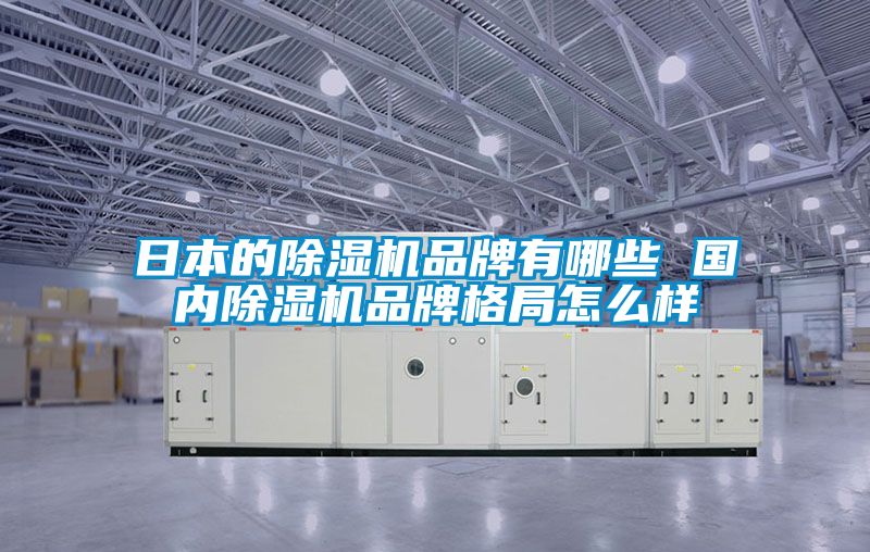 日本的除湿机品牌有哪些 国内除湿机品牌格局怎么样
