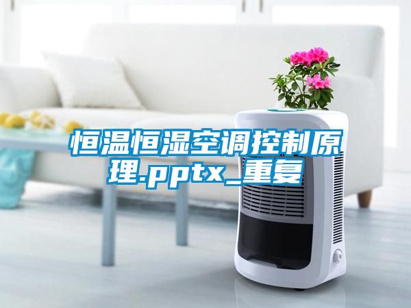 恒温恒湿空调控制原理.pptx_重复