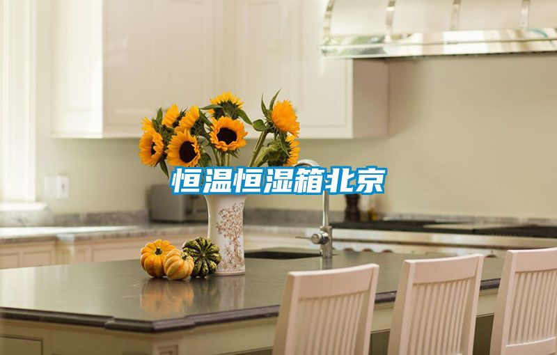 恒温恒湿箱北京