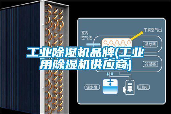 工业除湿机品牌(工业用除湿机供应商)