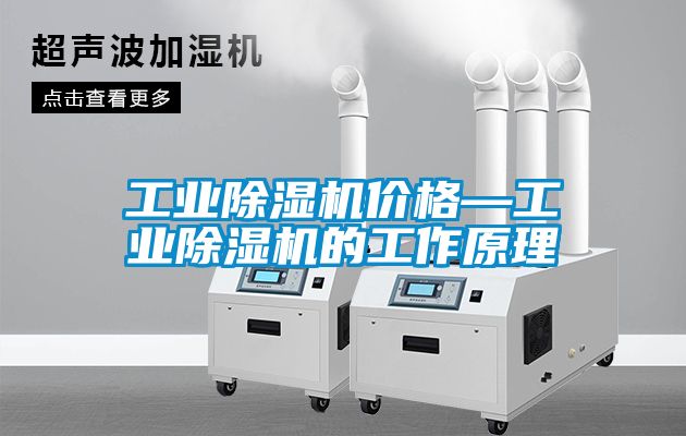 工业除湿机价格—工业除湿机的工作原理