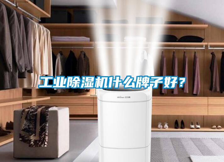 工业除湿机什么牌子好？