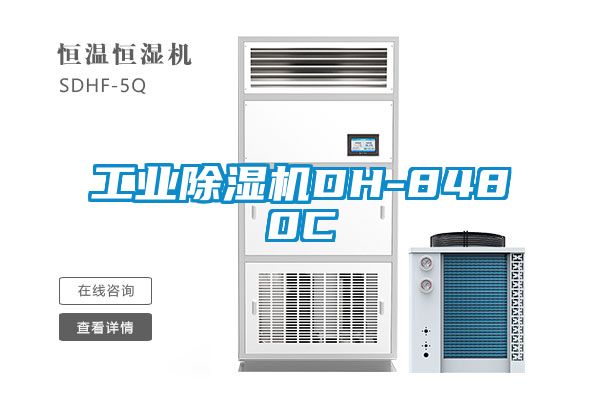工业除湿机DH-8480C