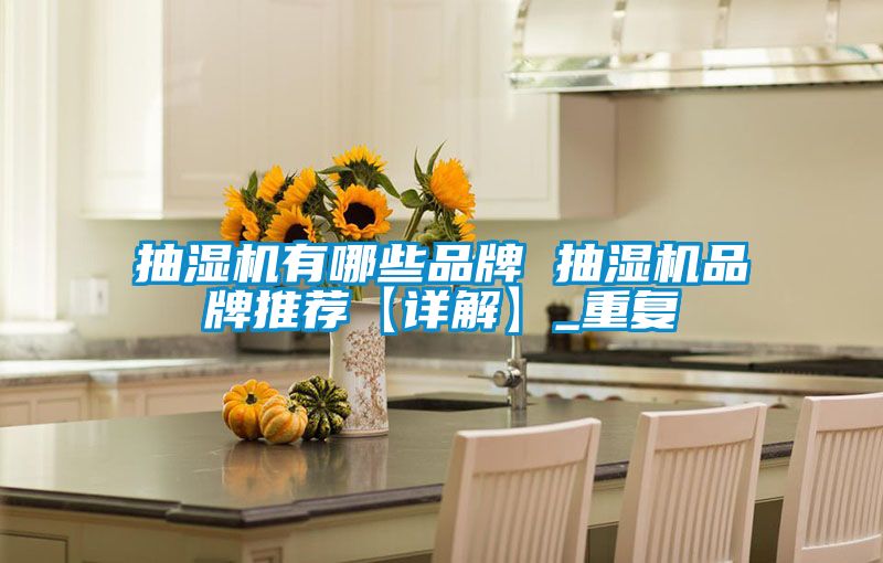抽湿机有哪些品牌 抽湿机品牌推荐【详解】_重复