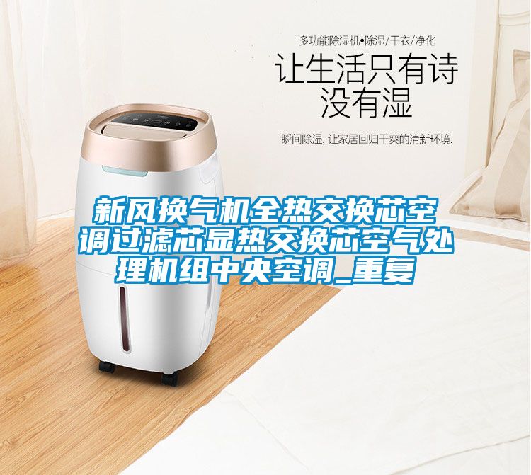 新风换气机全热交换芯空调过滤芯显热交换芯空气处理机组中央空调_重复