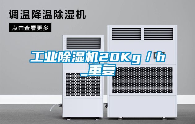 工业除湿机20Kg／h_重复