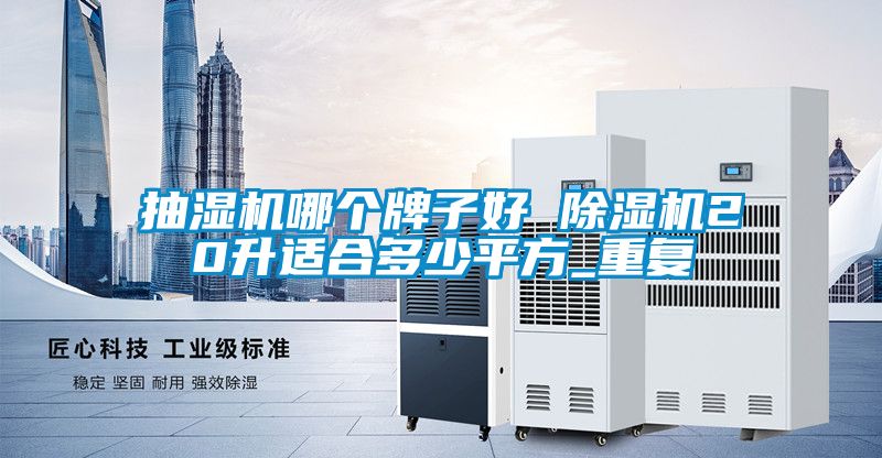 抽湿机哪个牌子好 除湿机20升适合多少平方_重复