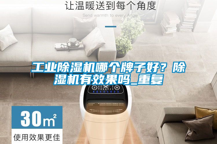 工业除湿机哪个牌子好？除湿机有效果吗_重复