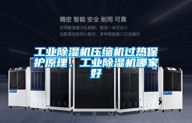 工业除湿机压缩机过热保护原理，工业除湿机哪家好
