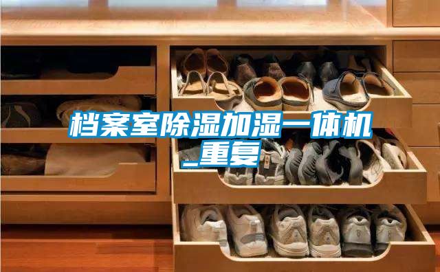 档案室除湿加湿一体机_重复