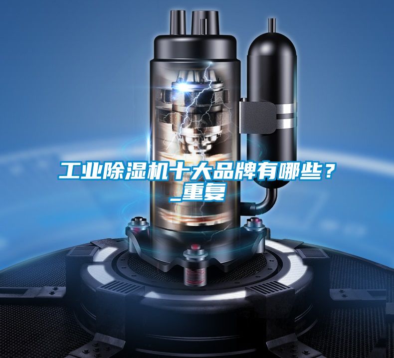 工业除湿机十大品牌有哪些？_重复